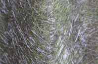 Hoswick fibreglass roof work